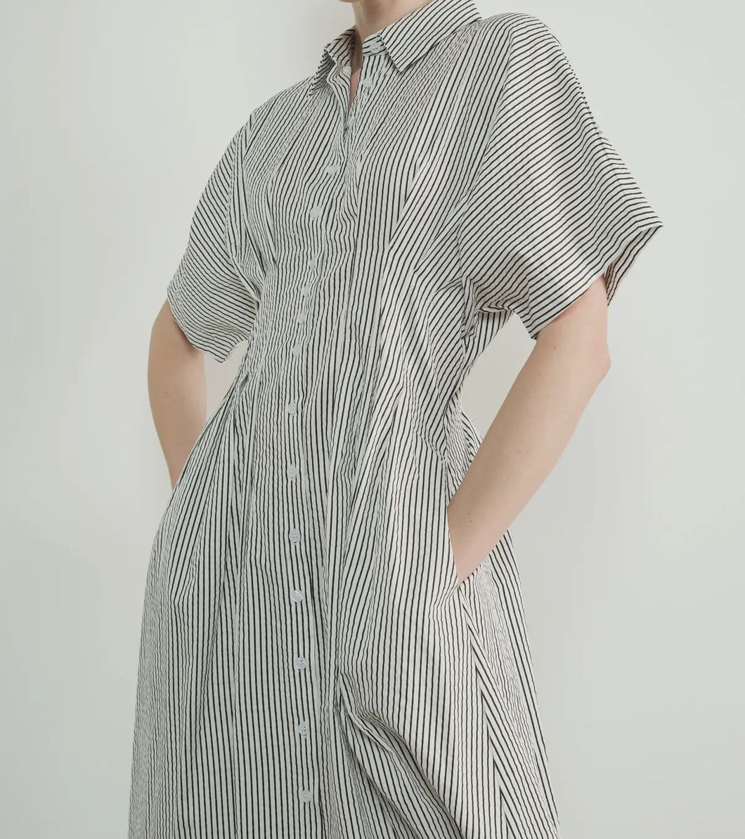 Harper Pinstripe Dress