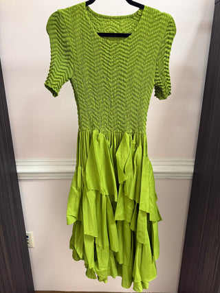Silky Pleated Ruffle SS Dress
